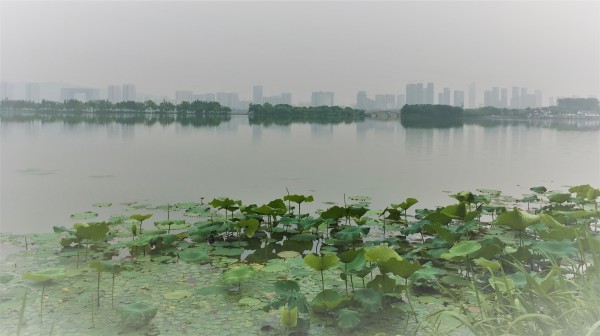 海宁游玩攻略行程,海宁游玩攻略