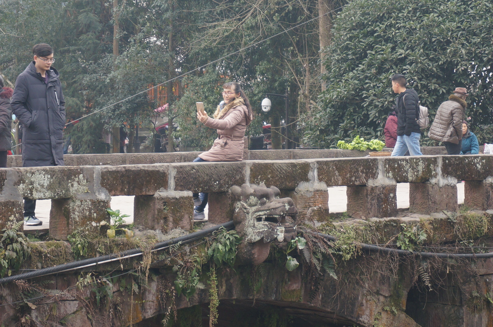 小丘村人口_铜川小丘镇坳底村(3)