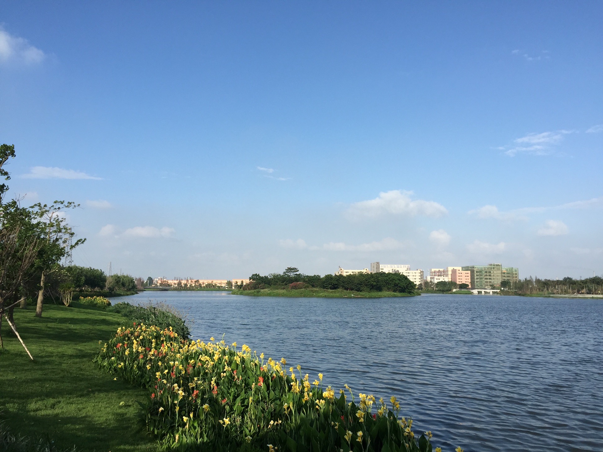 立夏树临风龙溪湖公园