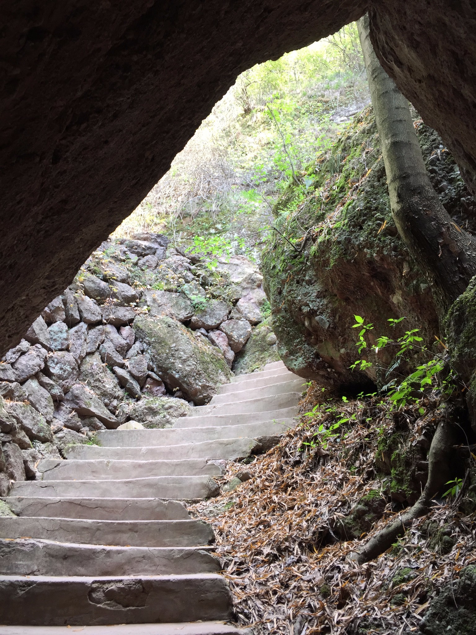 石鼓寮风景区        