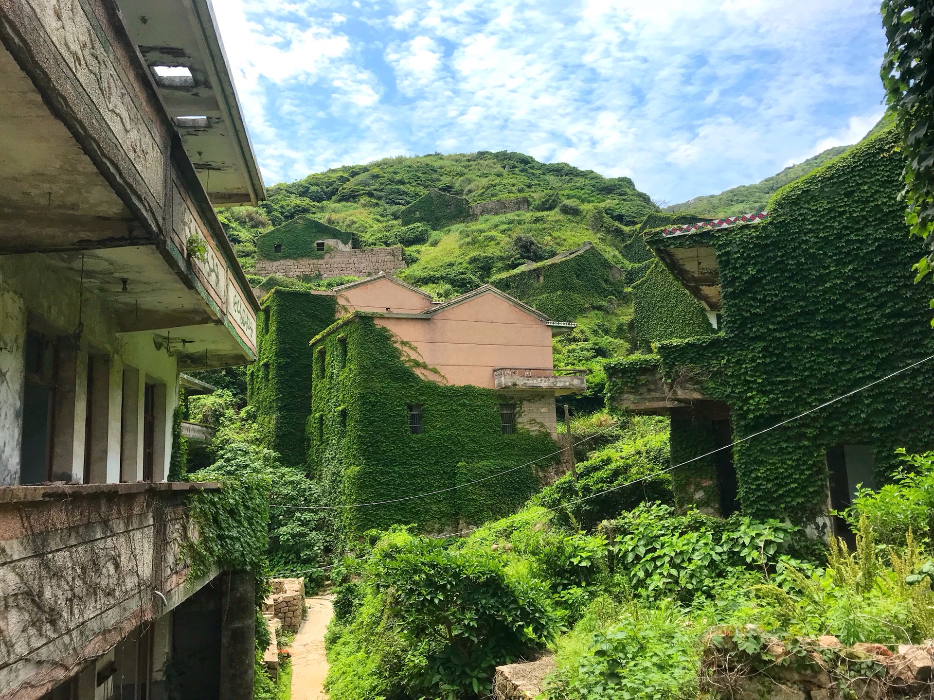 小樵村人口(3)