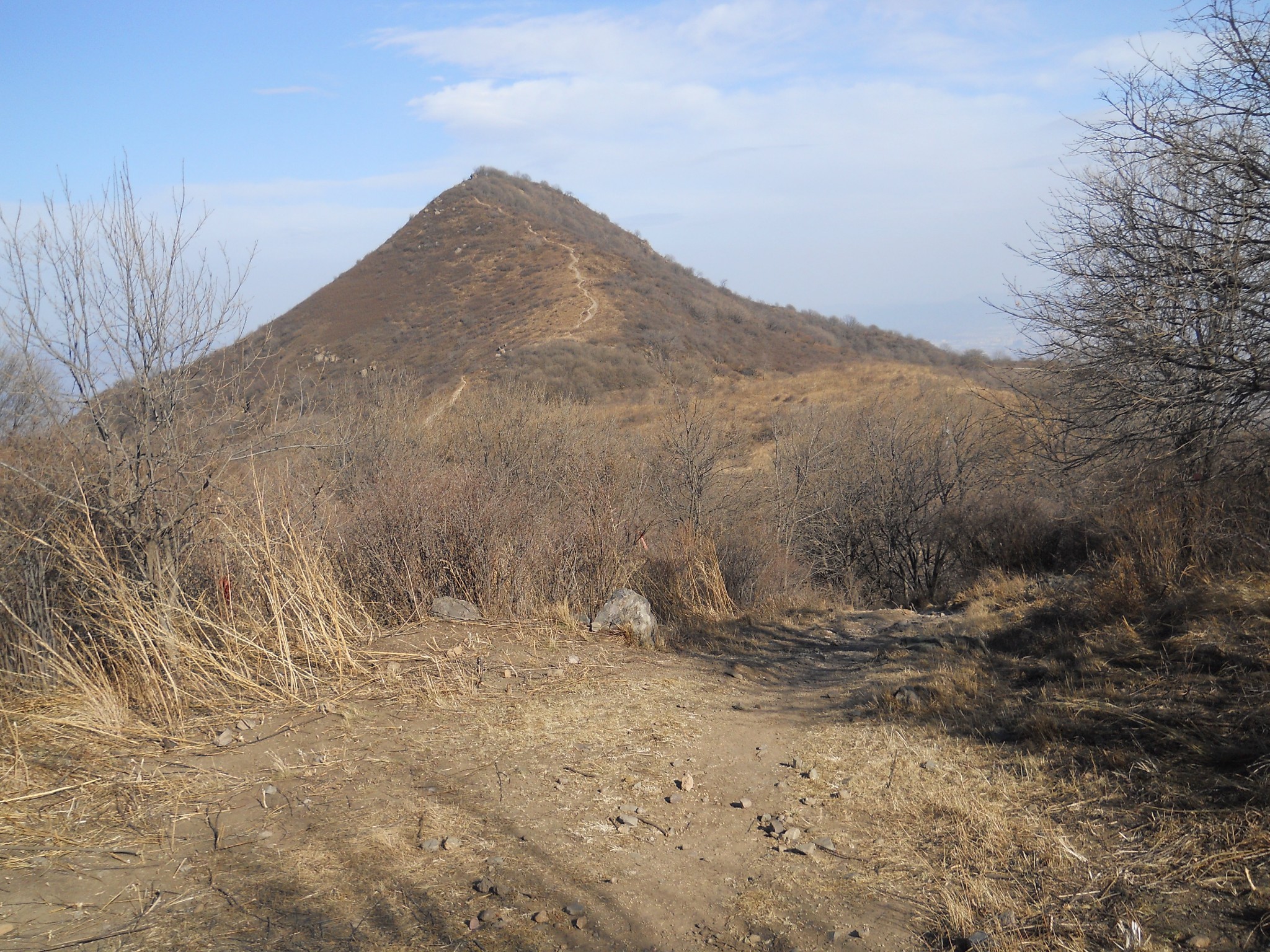 猜成语 山 太阳 路_山太阳图片(2)