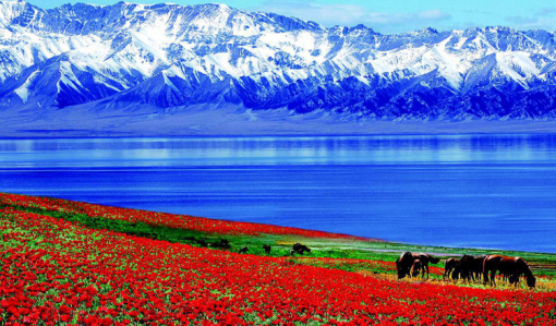 去新疆赛里木湖旅游攻略报团 wKgBEFplYNGAKP7FAAfN34adIdk42.jpeg?imageView2%2F2%2Fw%2F510%2Fh%2F8000%2Fq%2F100