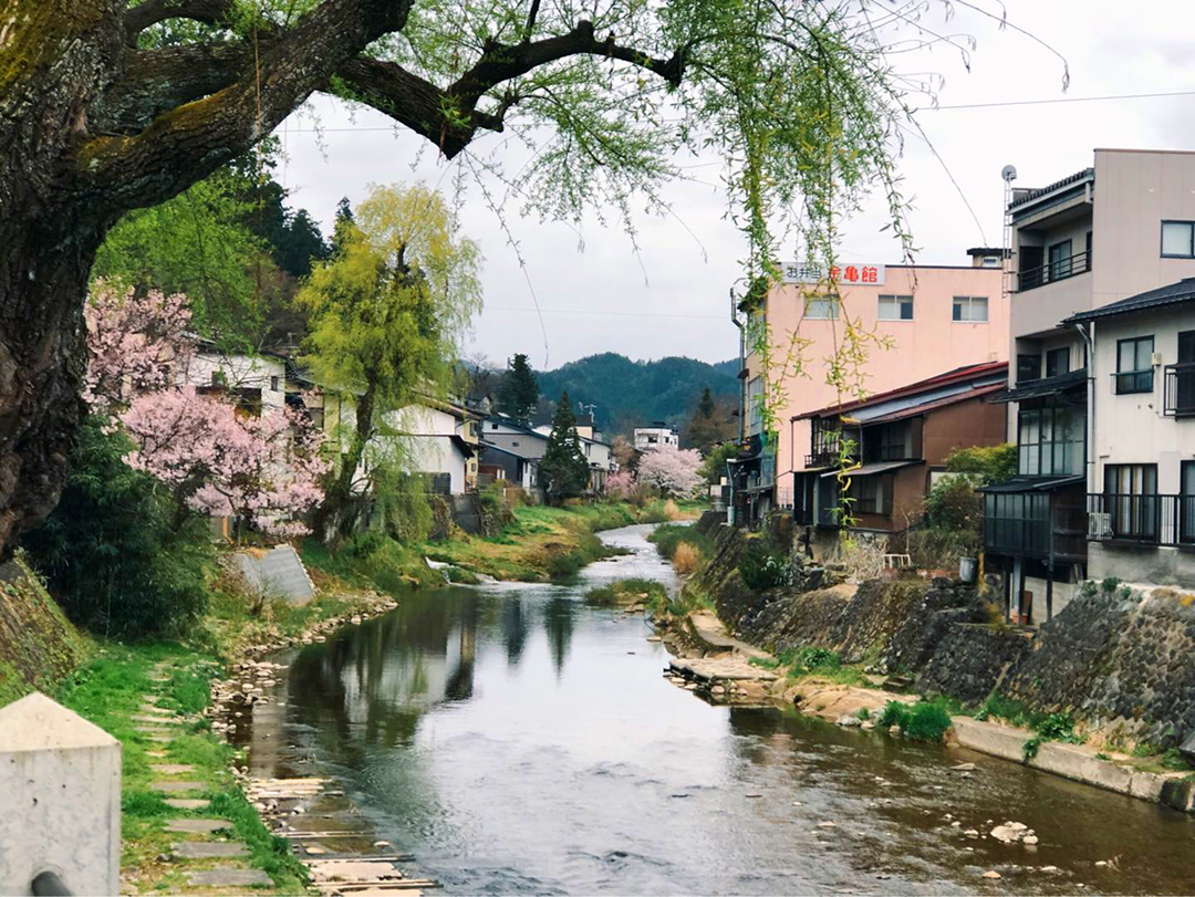 旅行是一道开放题,到日本高山市的时候,我们卡题了