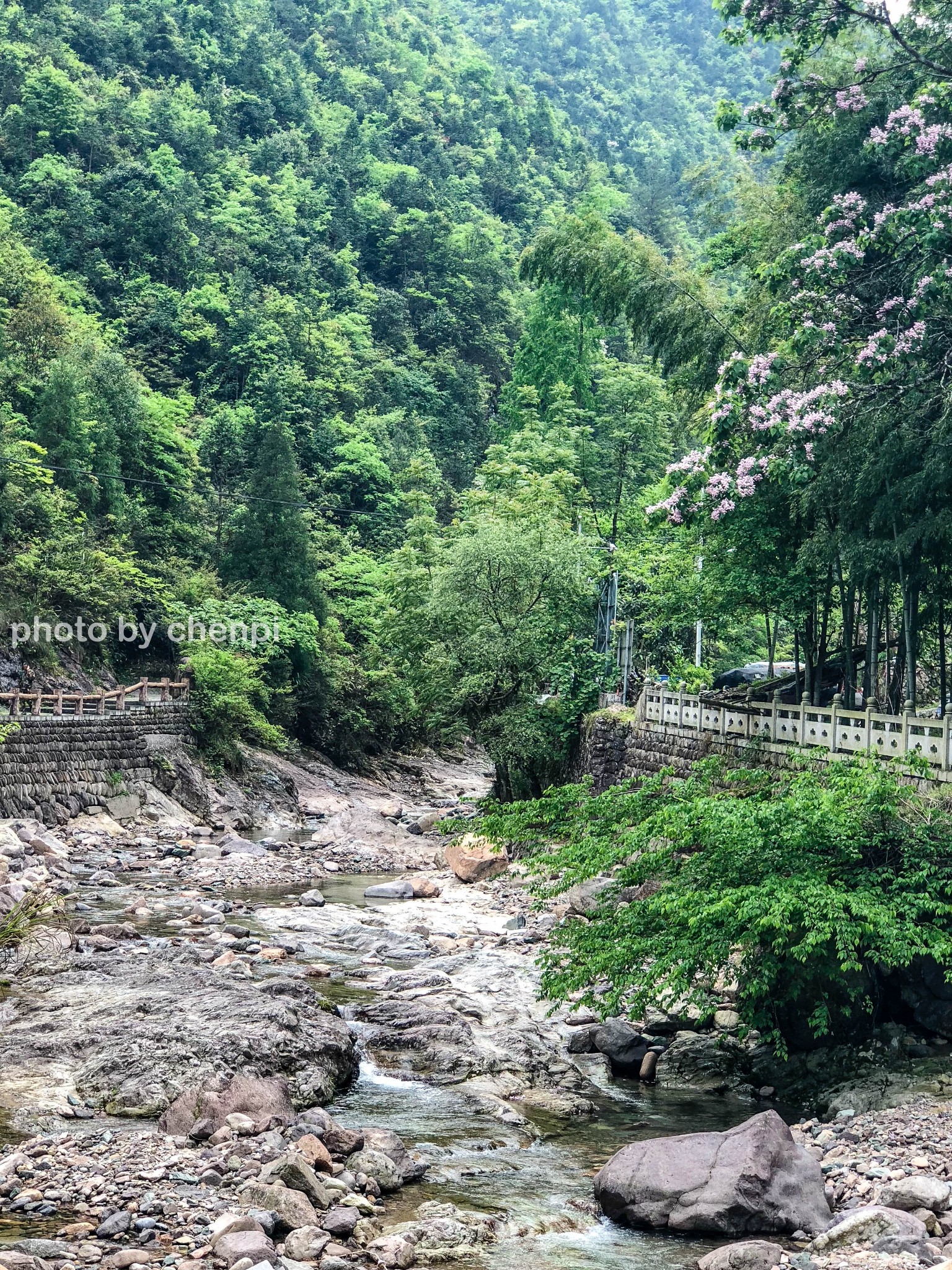 九龙山自然保护区       