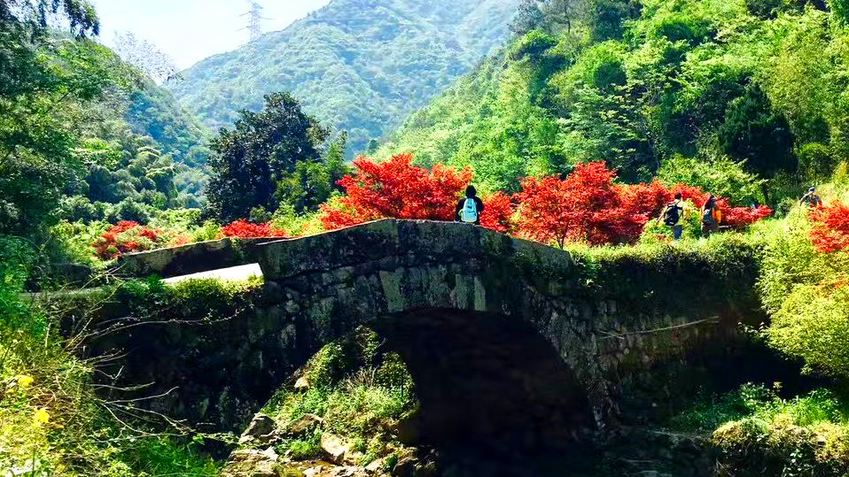 浙江宁波探访栖霞坑古道徒步一日游