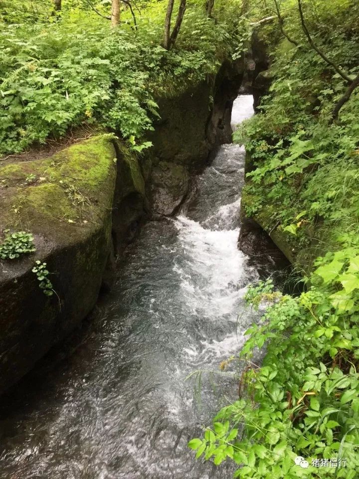 抚松县东岗镇经济总量_抚松县松江河镇规划图(3)