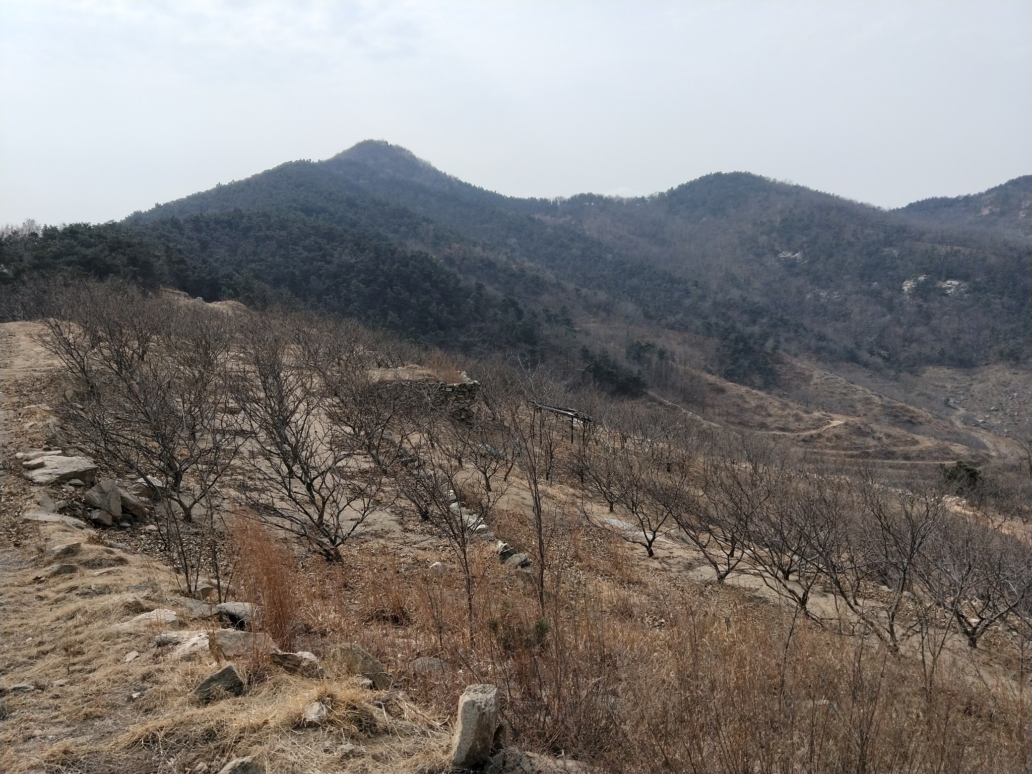 山东沂南双堠大青山之1
