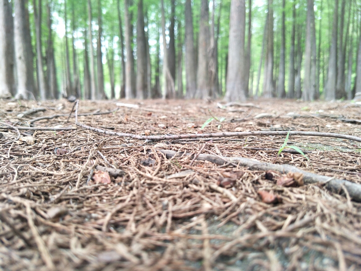 鱼虎云一猜一成语大全_一图一成语猜答案大全(3)