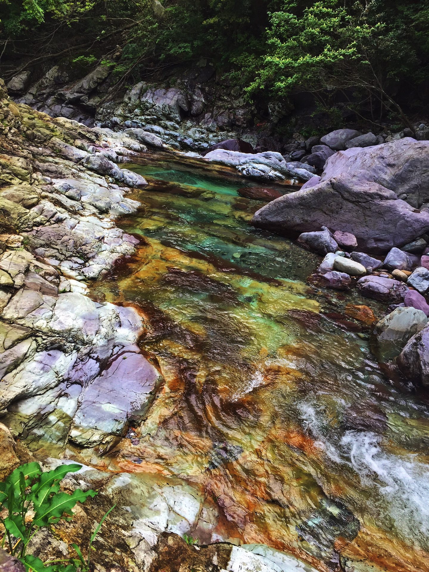 祁门县◆七彩玉谷～古徽道～桃源村