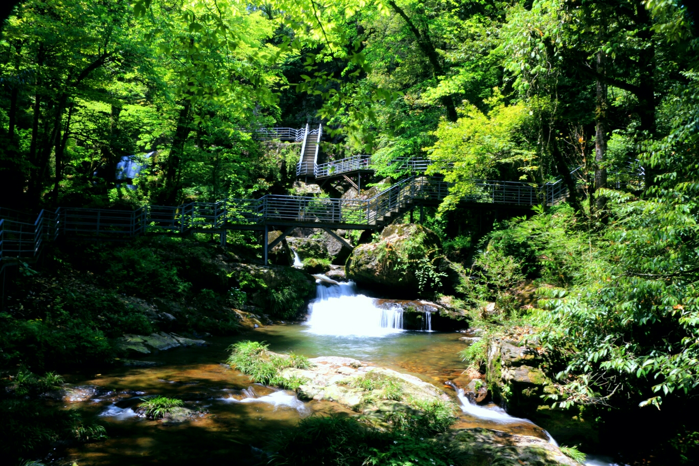 雅安龙苍沟风景区