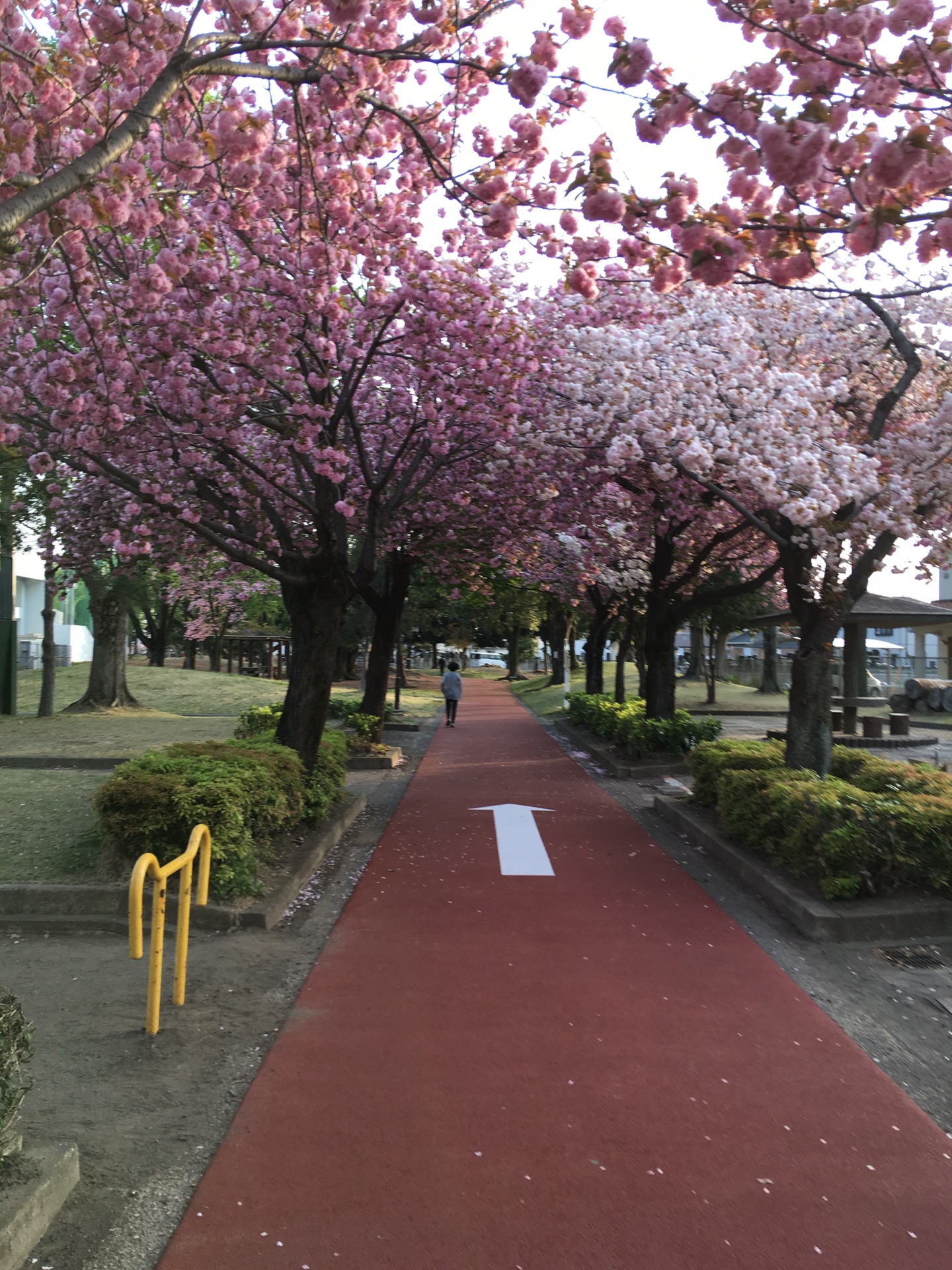 群马县太田市北部运动公园