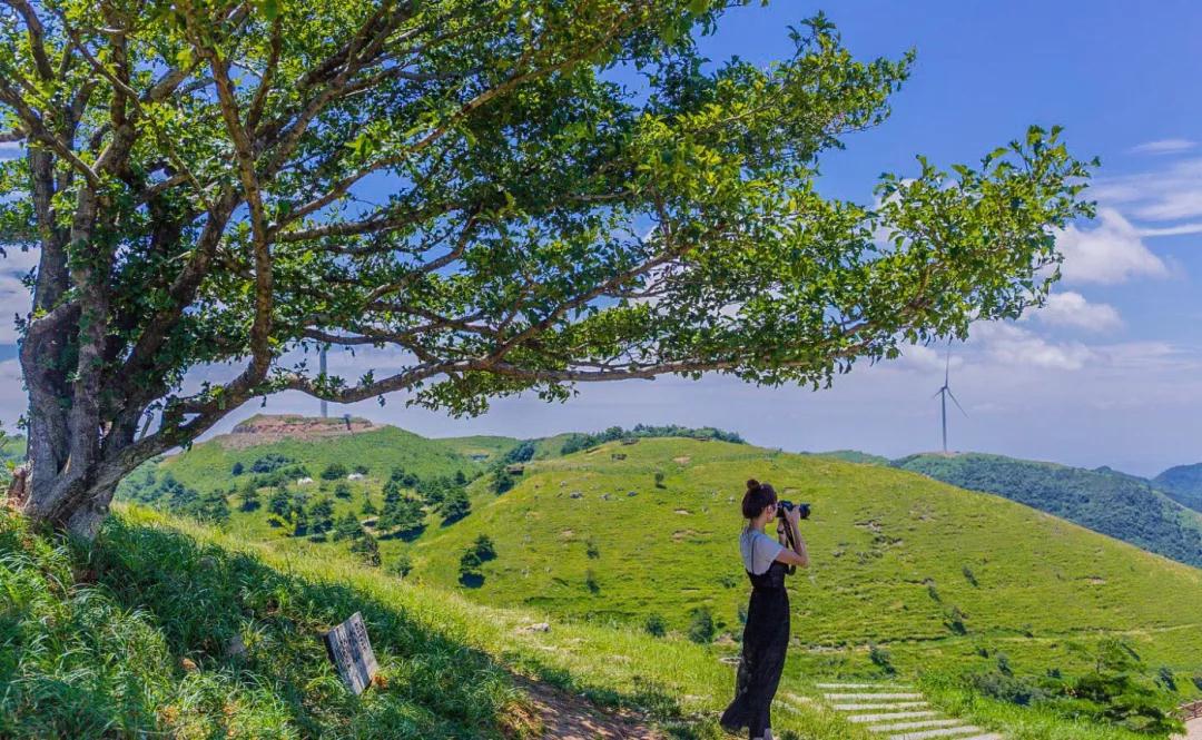 你总要去谈一场像山楂树之恋那样的纯恋,宜昌旅游攻略 马蜂窝