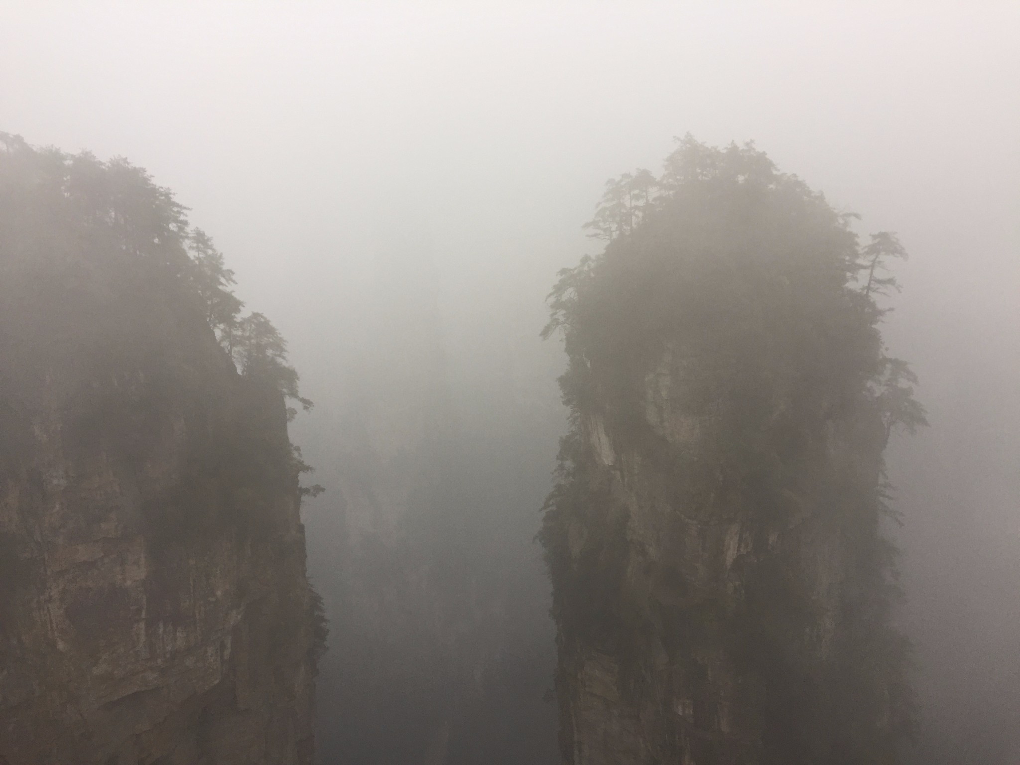 纳威人口_纳威·隆巴顿(3)