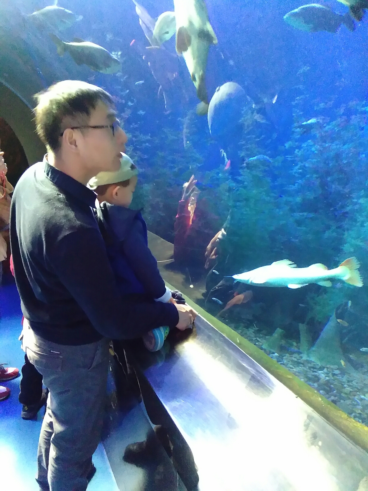 带宝宝去抚顺海洋馆游玩