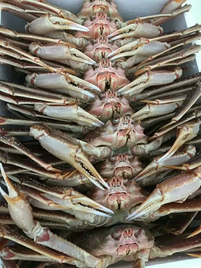 珲春哪里海鲜好,吃着实惠,买着便宜。