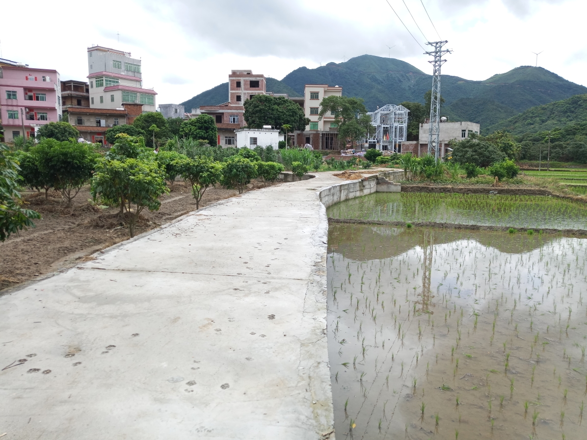 高州市根子镇中间堂人口_高州市根子镇图片