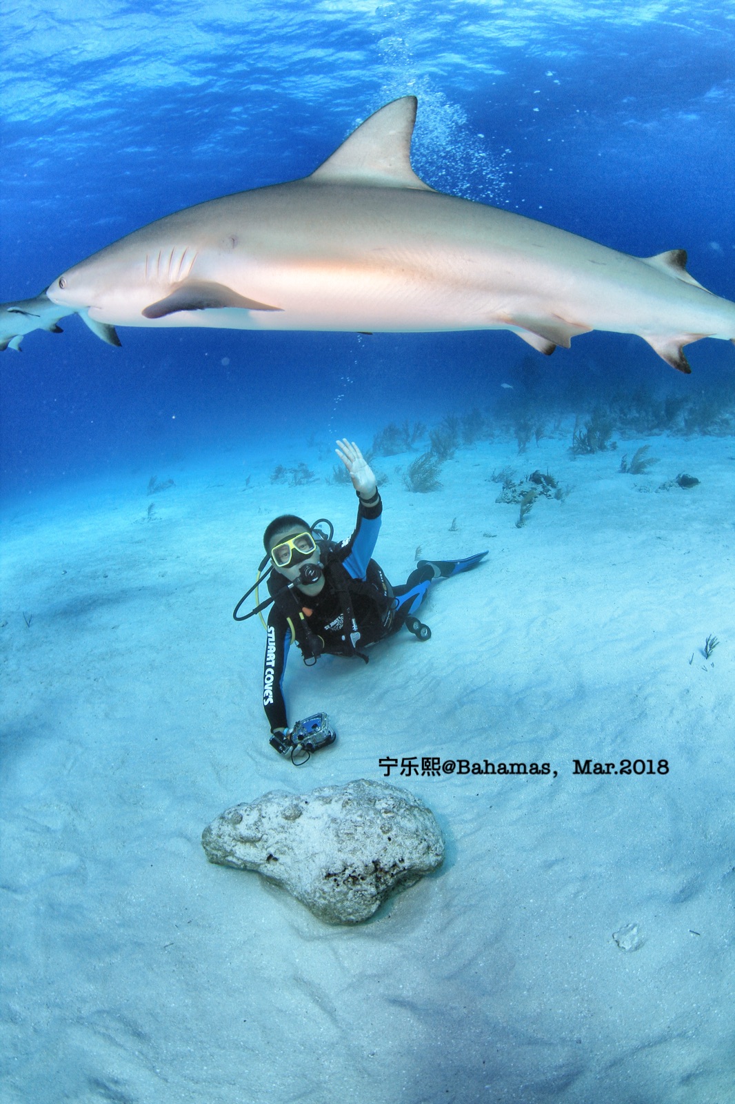 wKgBEFrd6uqAJXk4AAfUC96Z2aA67.jpeg?imageView2%2F2%2Fw%2F600%2Fh%2F600%2Fq%2F90