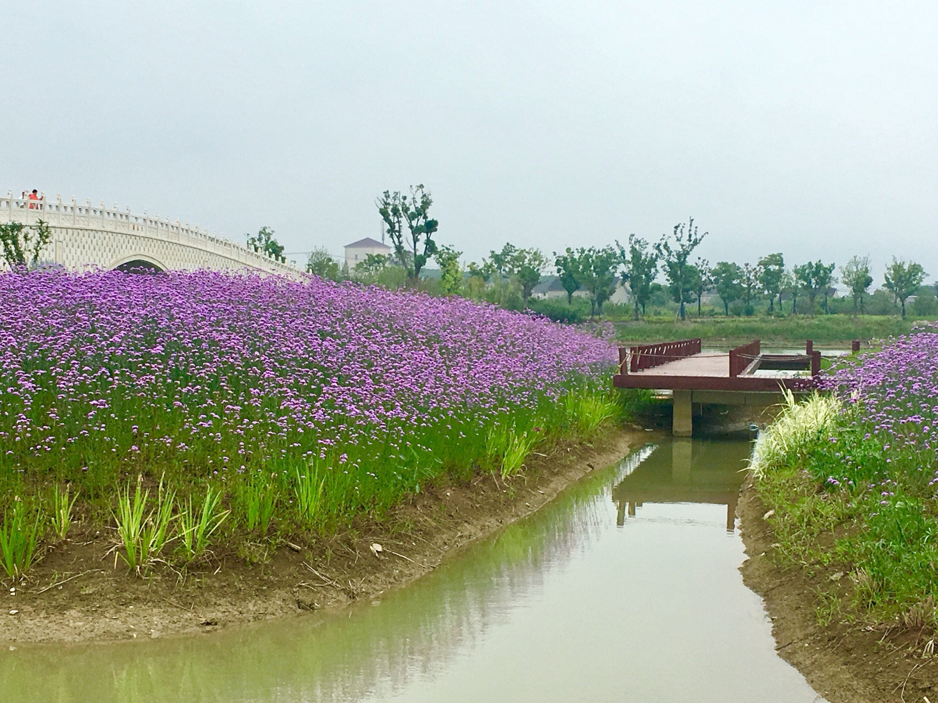 邂逅西京湾.杵山公园