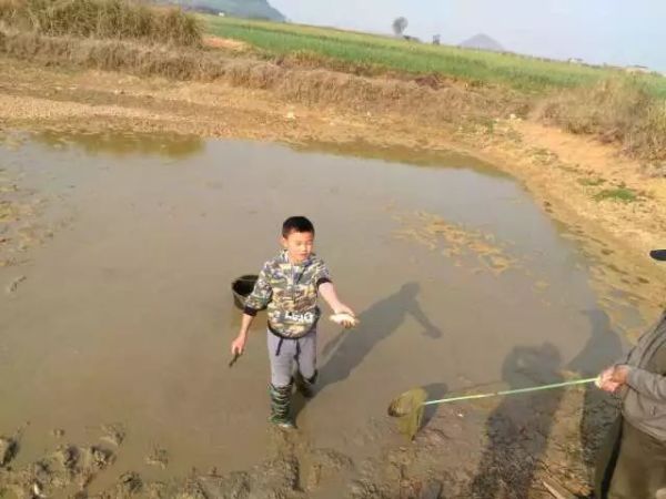 滦县青龙山游玩攻略,滦县青龙山游玩攻略一日游