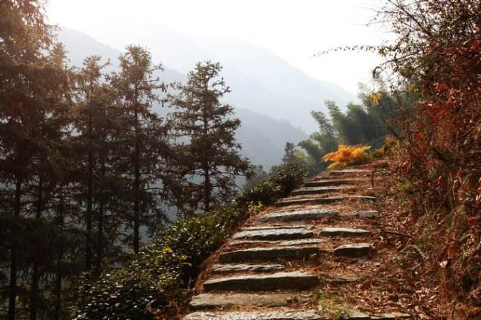 安徽黄山箬岭古道 歙旌古道徒步导航路线(千年古官道 隋唐古道)