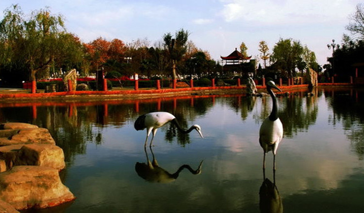 阜阳颍上八里河风景区门票(未使用可退)