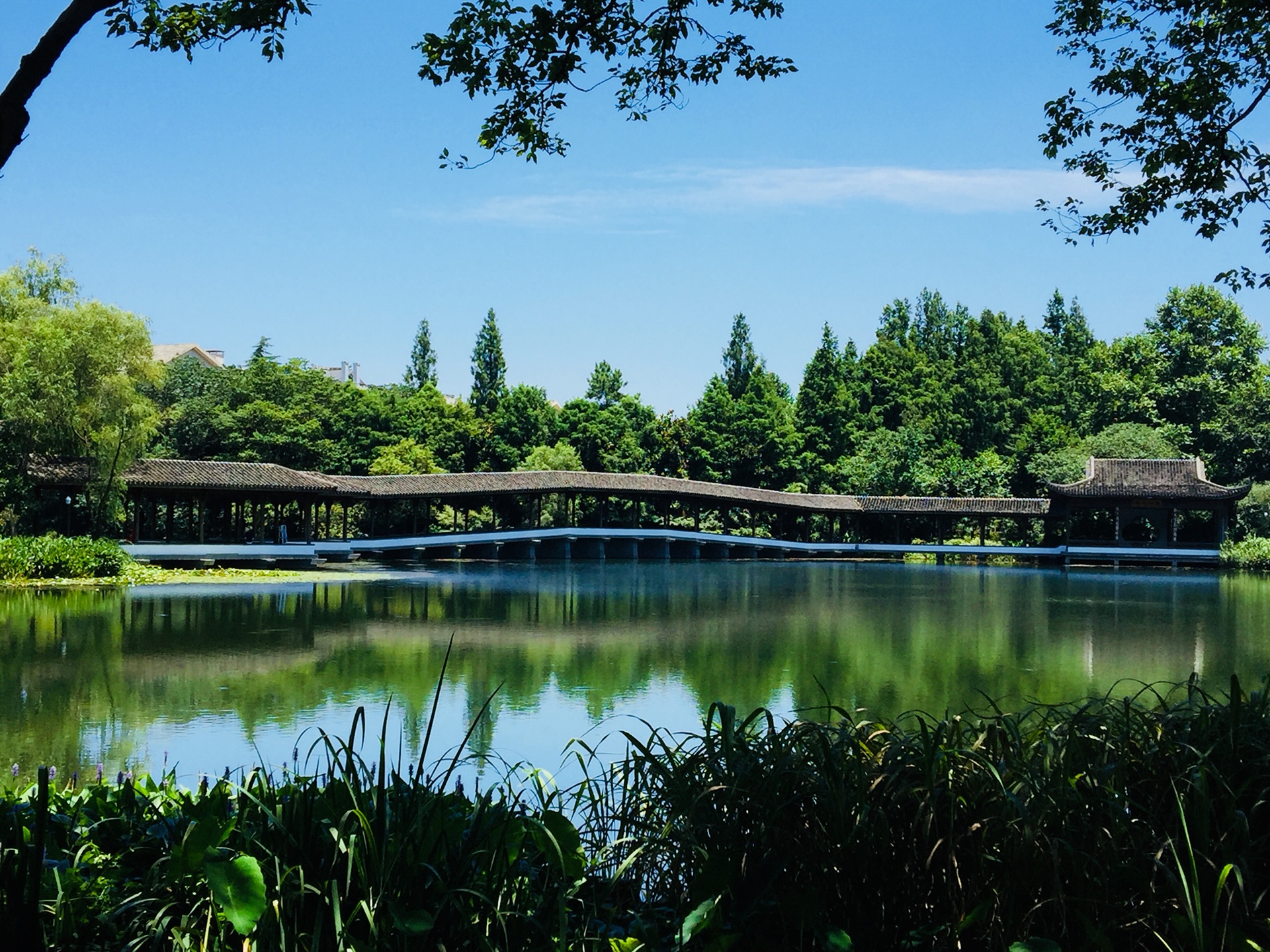 杨公堤 浴鹄湾 三台山(杭州西湖十景)