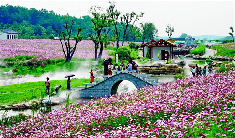 瑞丽，阳光明媚、花香四溢的美丽之地