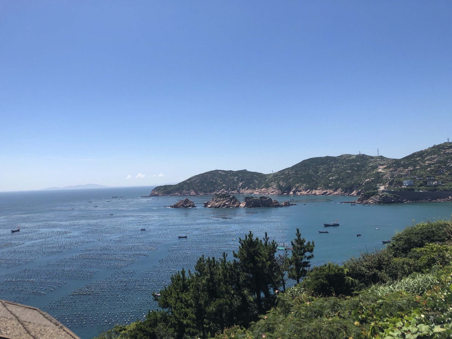 枸杞岛人均_枸杞岛(2)