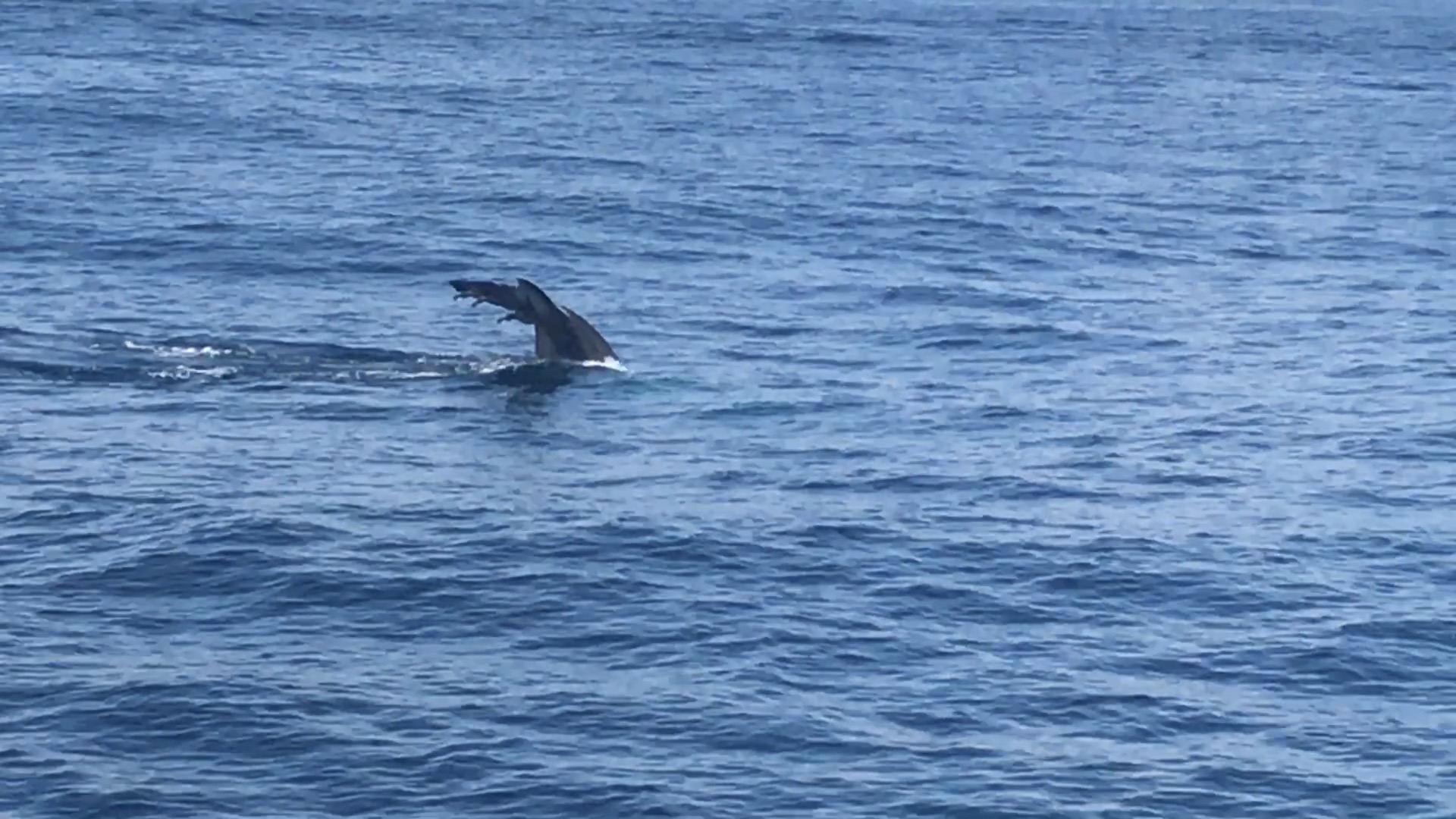 wKgBEFpDtHyALNtzAAYWd0xSqyU29.jpeg?imageView2%2F2%2Fw%2F600%2Fh%2F600%2Fq%2F90