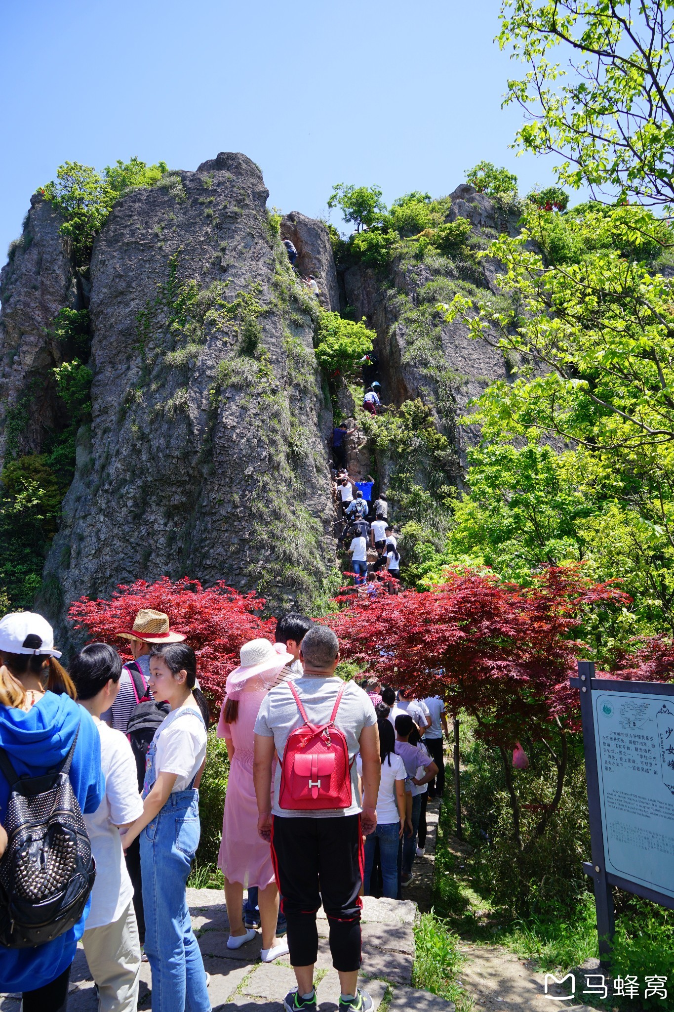 浦江一日登山游:仙华山