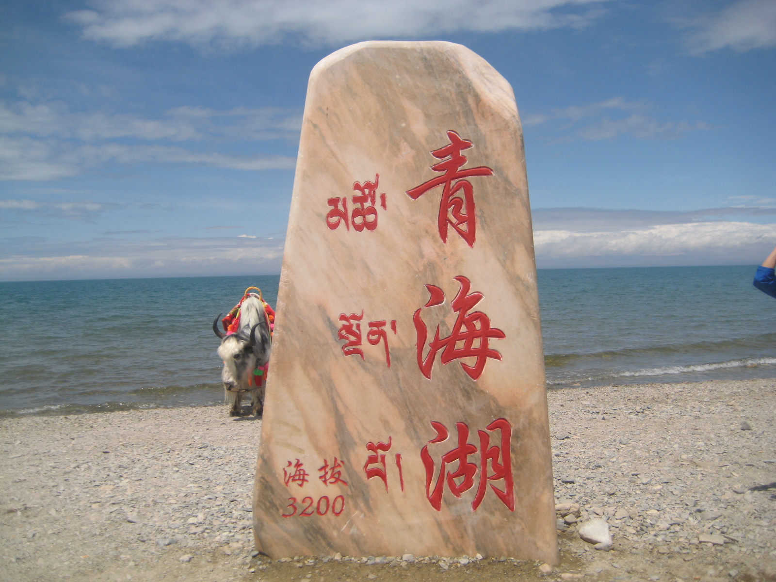 青海湖,日月山,倒淌河之旅(自由行攻略系列之一百六十