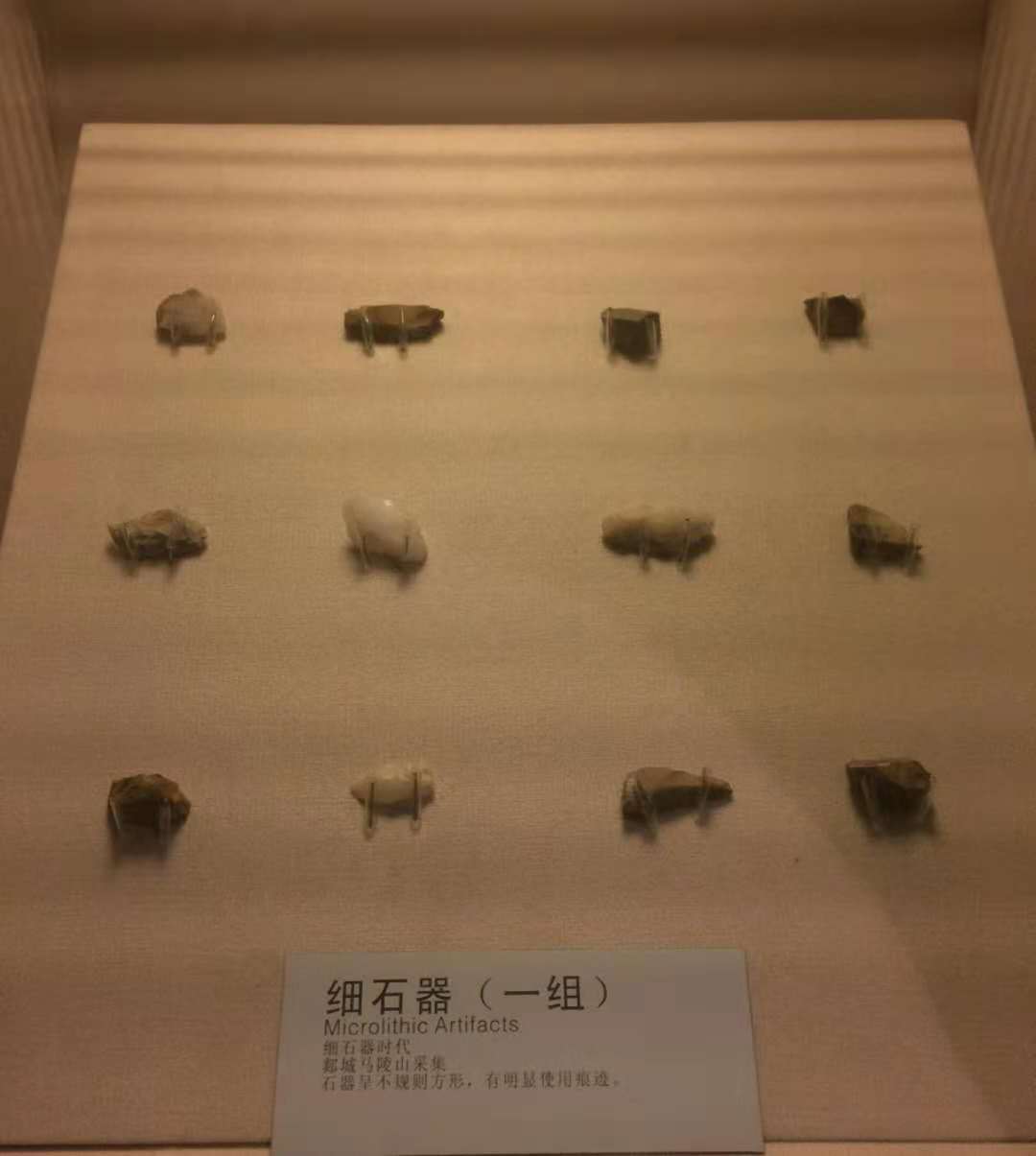 山东博物馆(八)山东历史文化展:史前 ①