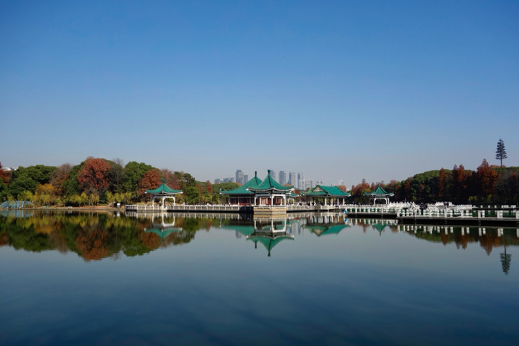 梨园广场站,转方向按 听涛景区-磨山景区(吹笛景区-武汉大学东门