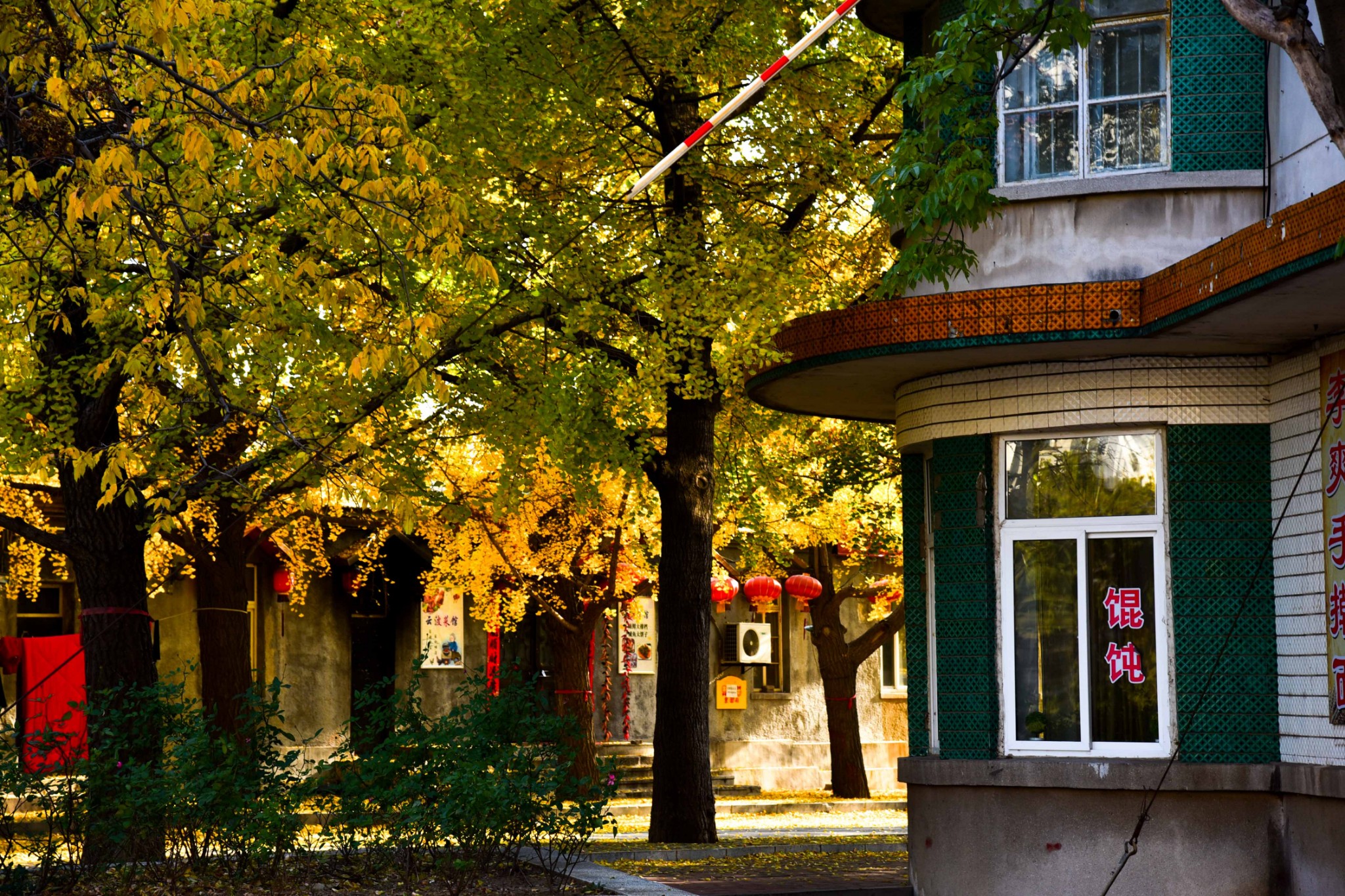 大连追秋记:旅顺太阳沟——霜落千林木叶丹,经秋何事亦孱颜
