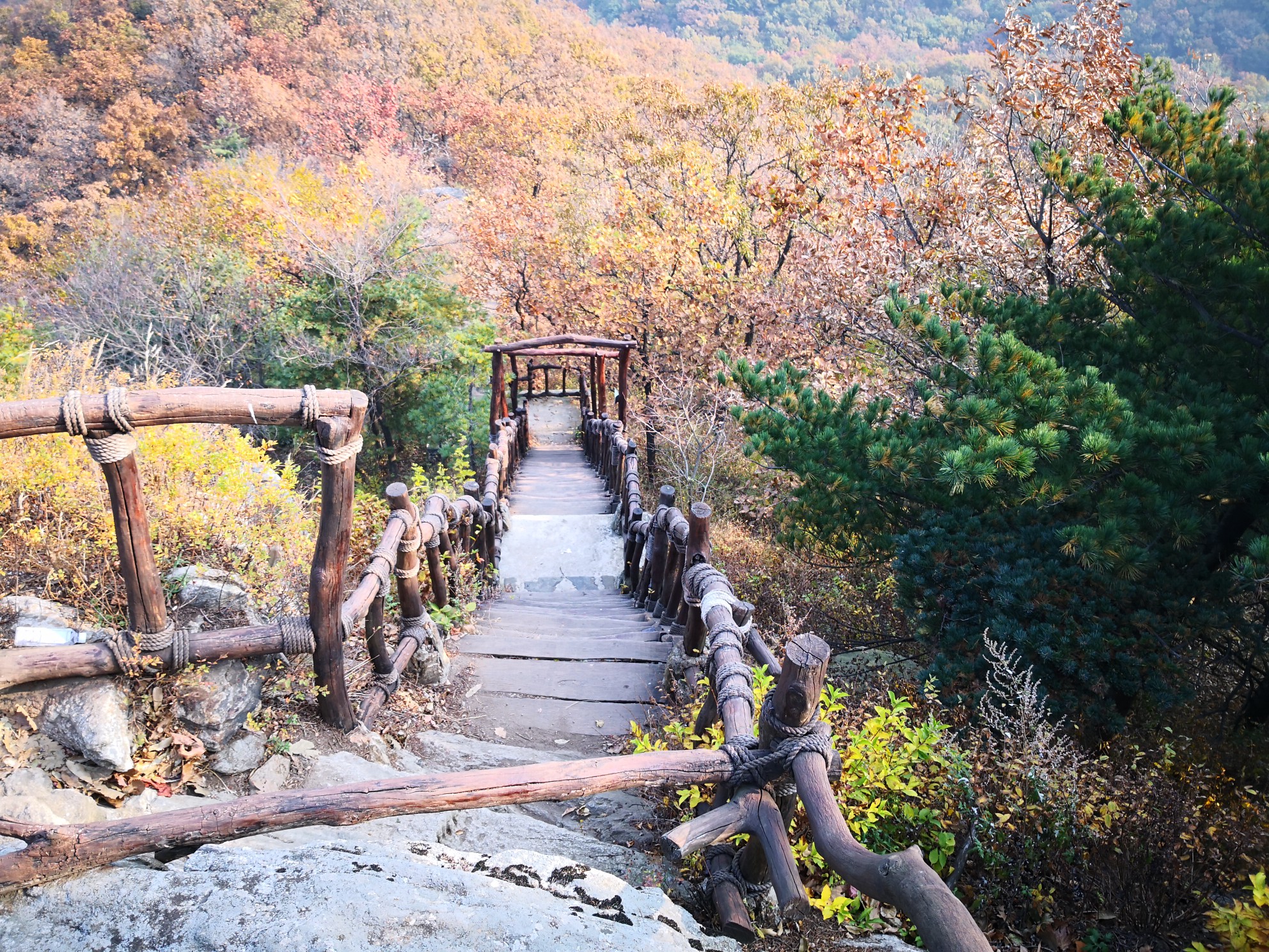 小黑山森林公园        