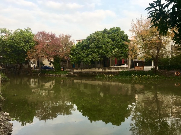 顺德游玩攻略,顺德游玩攻略及路线