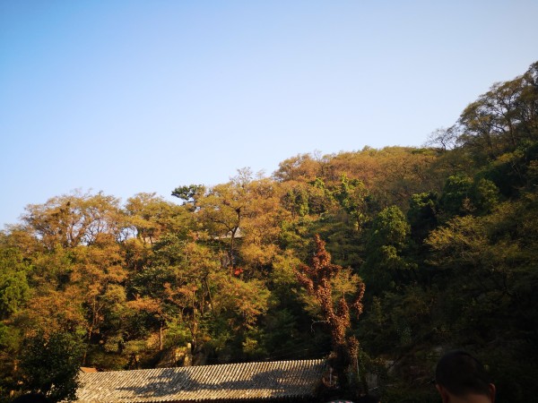 泰山有多少个台阶 wKgED1u3AwaAYgF2AA0eEjXw7WM85.jpeg?imageView2%2F2%2Fw%2F600%2Fh%2F600%2Fq%2F90
