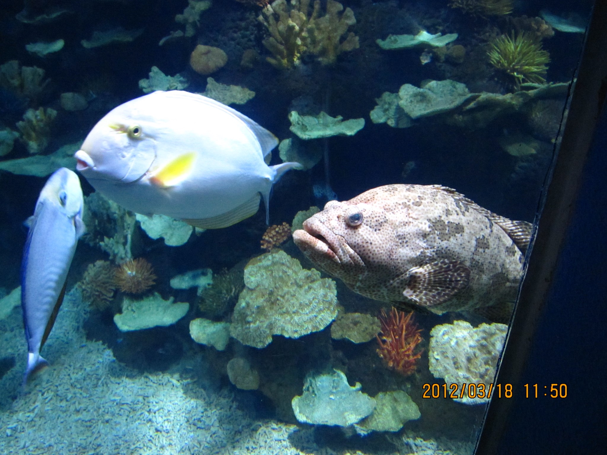 wKgED1uo4C-AMT7dAApSpsSbtWQ21.jpeg?imageView2%2F2%2Fw%2F600%2Fh%2F600%2Fq%2F90