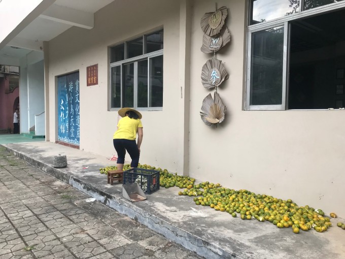 陈皮飘香人家-江门新会陈皮侨乡游玩景点美食大搜罗 陈皮飘香人家-江门新会陈皮侨乡游玩景点美食大搜罗