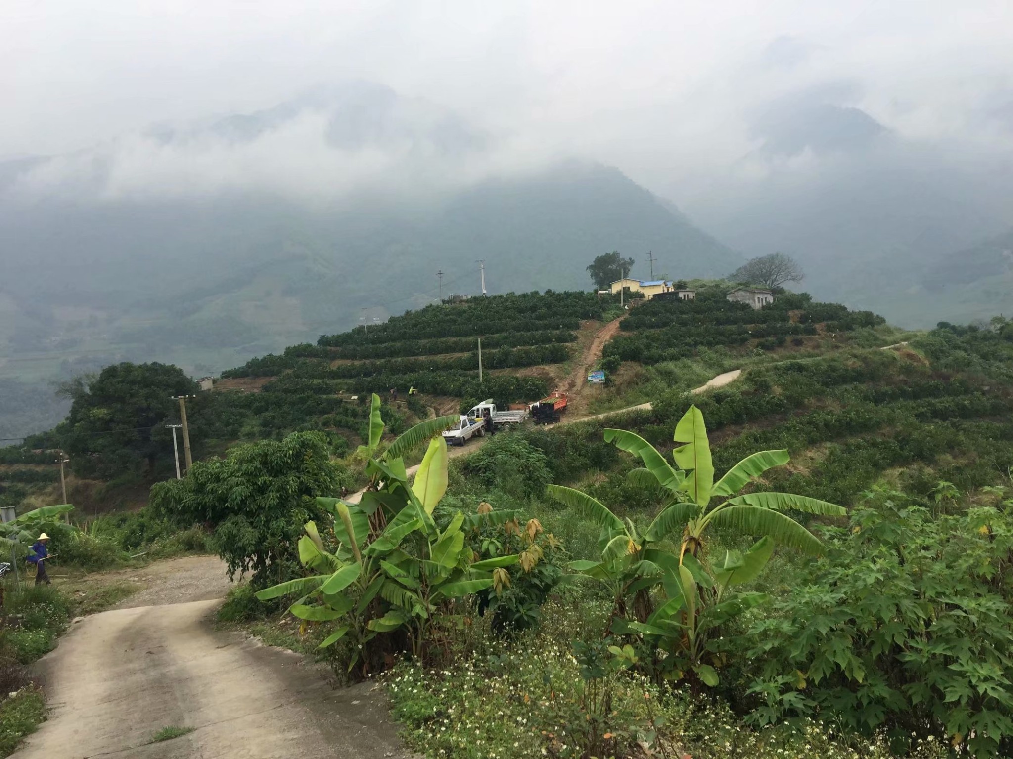 新平戛洒,哀牢山,漠沙之旅