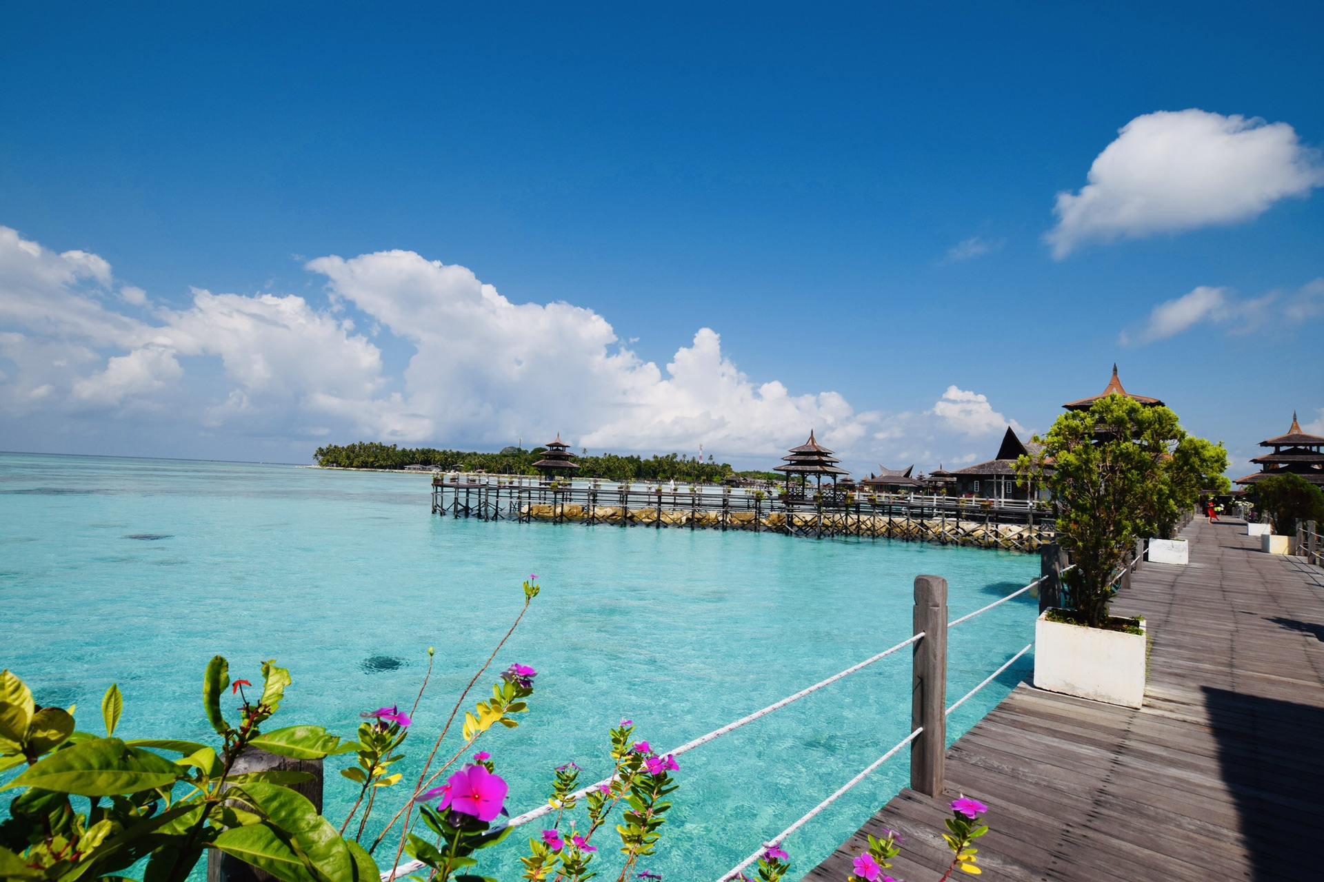 wKgED1u0vAyADfrdAAltR56NKV452.jpeg?imageView2%2F2%2Fw%2F600%2Fh%2F600%2Fq%2F90