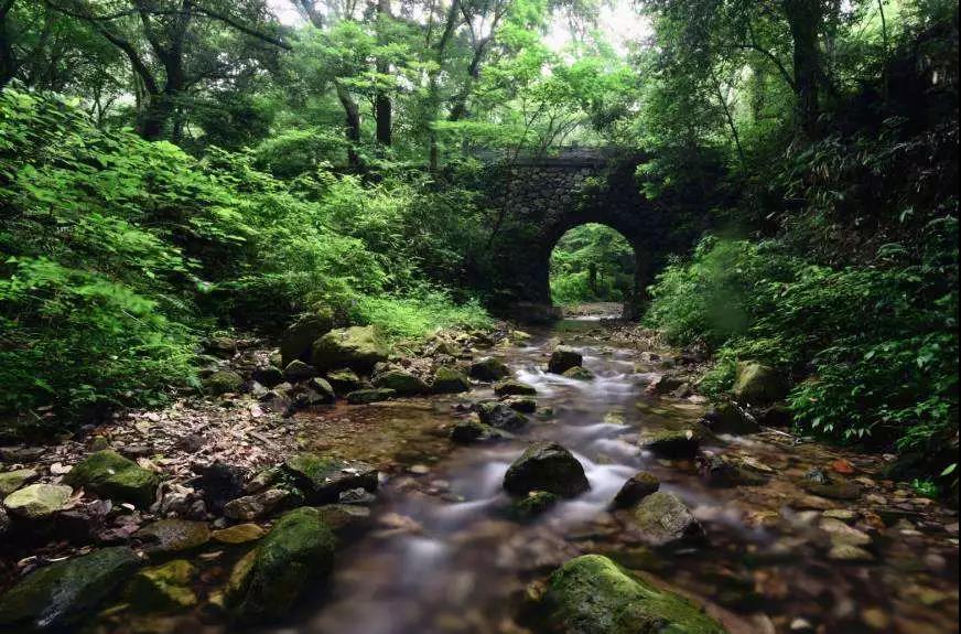 宁波北仑九峰山旅游区:青山,绿水,翠竹,钟声……这里尽有的.