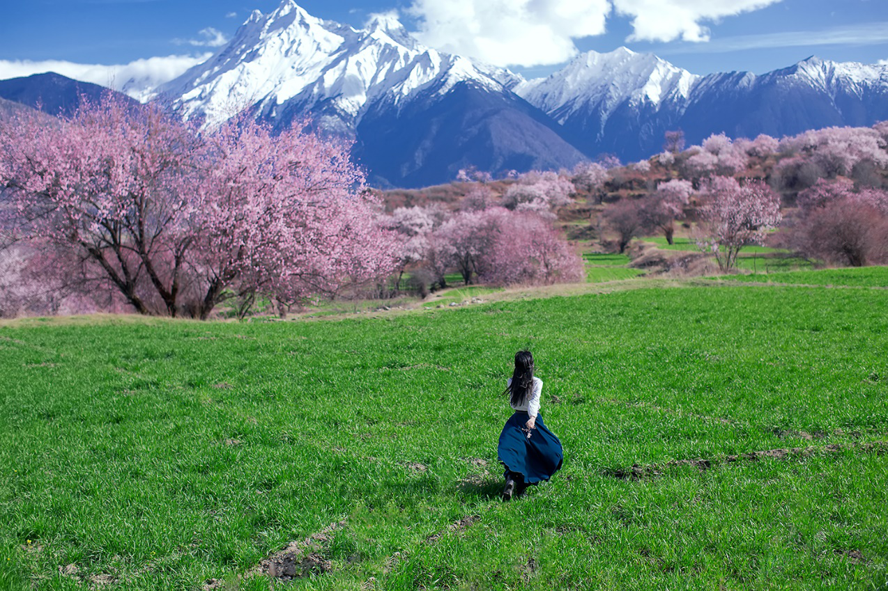 西藏林芝桃花节三月桃花不可说式的摄影路线