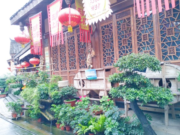 火车站可以带花进去吗 wKgED1utkqeAMXhZAA4e7w-Jwqc12.jpeg?imageView2%2F2%2Fw%2F600%2Fh%2F600%2Fq%2F90