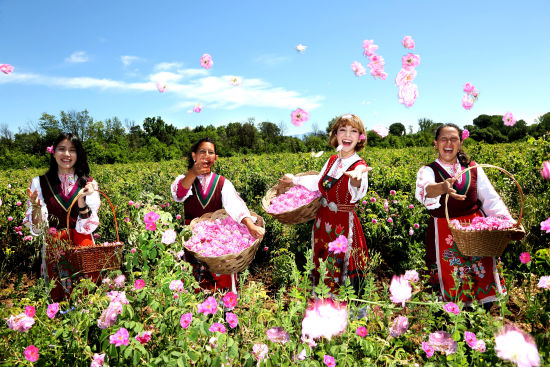 保加利亚 索非亚往返 玫瑰谷玫瑰节一日游(英文导游 玫瑰采摘体验
