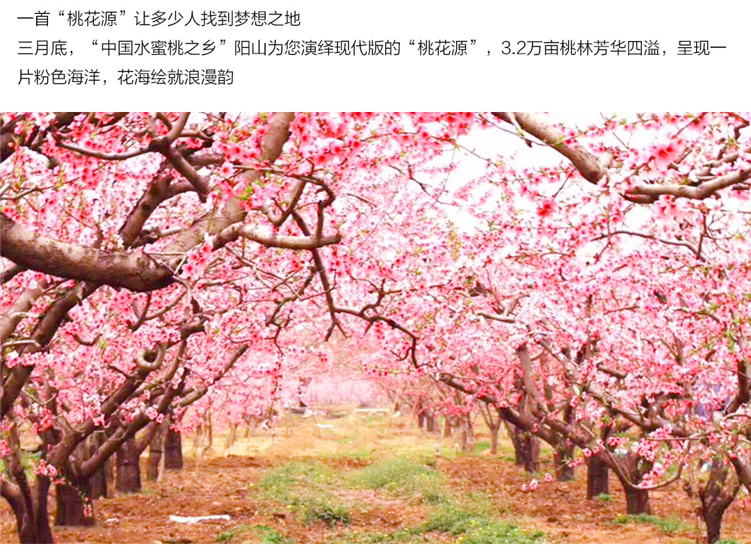 无锡田园东方蜜桃村稼圃集度假酒店(含早 蜜桃猪的田野乐园 )