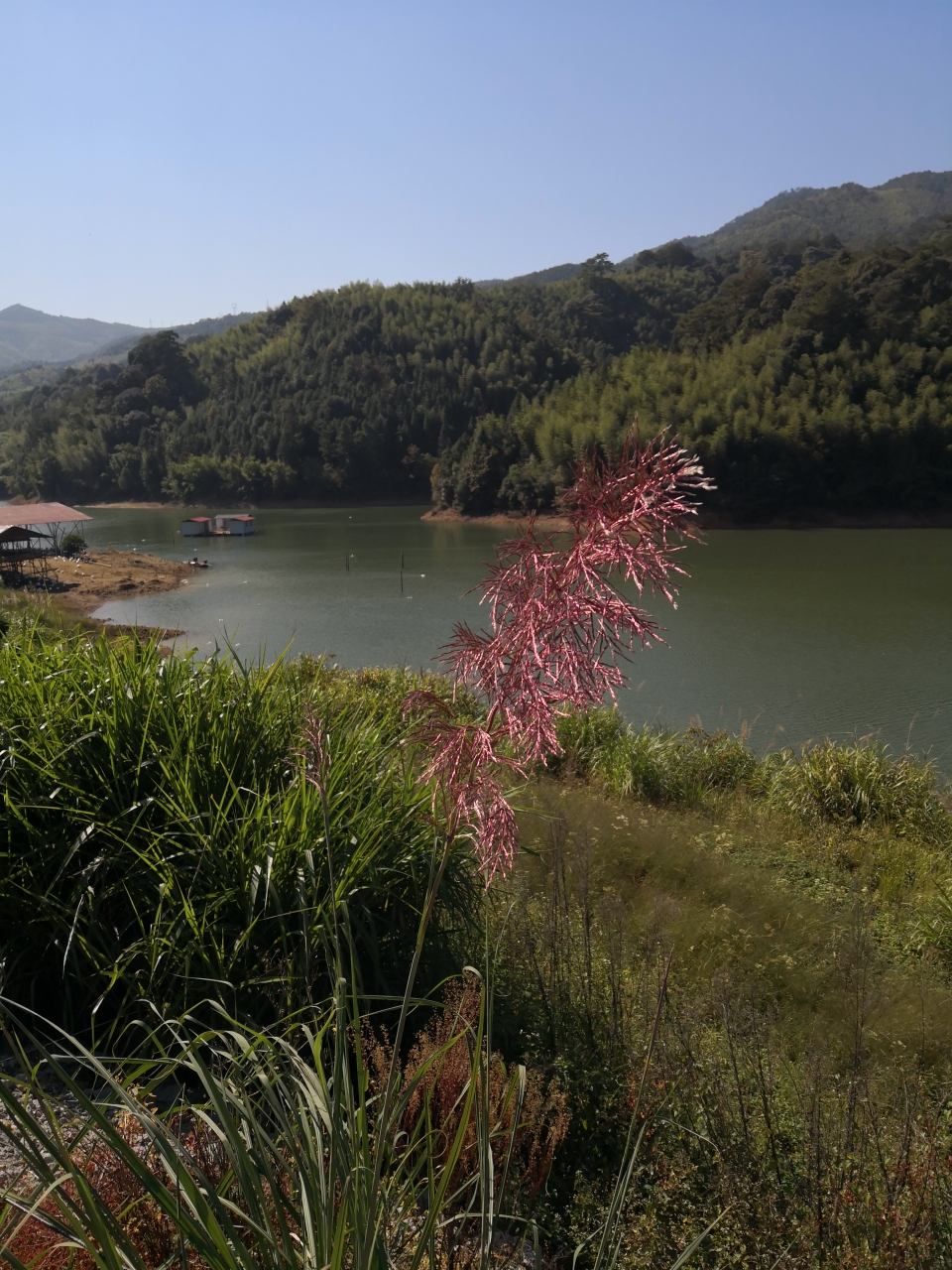 南平地区有多少人口_南平各县人口排名图片(2)