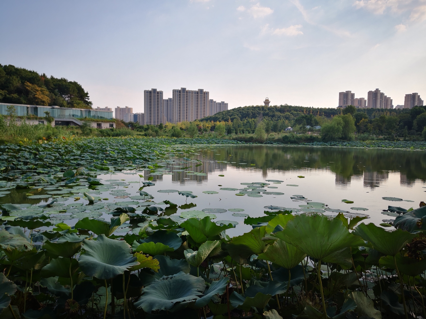 藏龙岛国家湿地公园