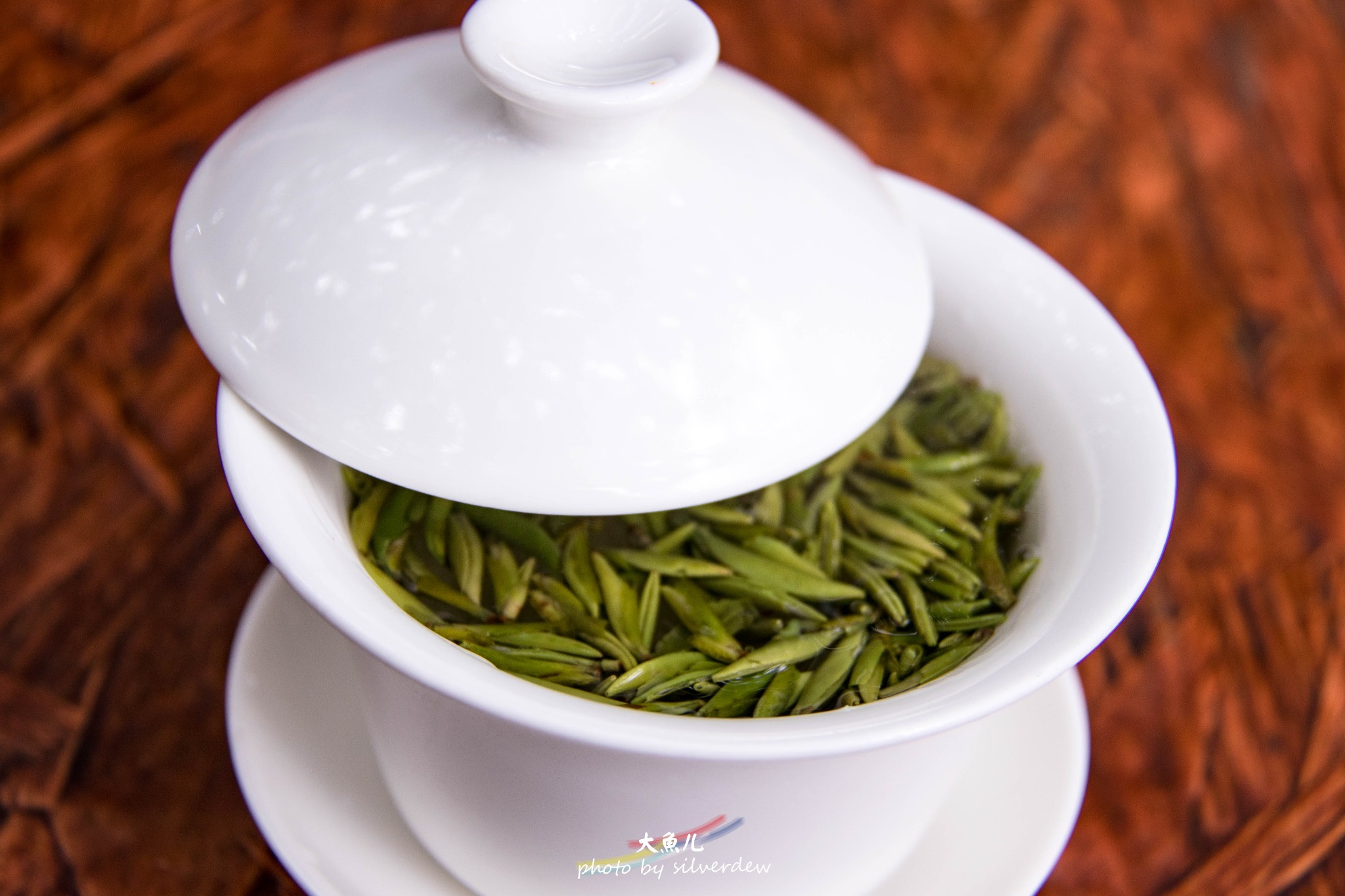 哐哧哐哧【狂吃狂吃】的行程